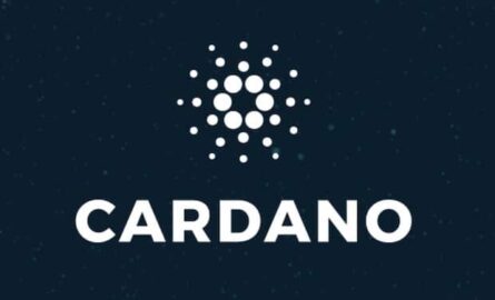 Cardano Blockchain Logo