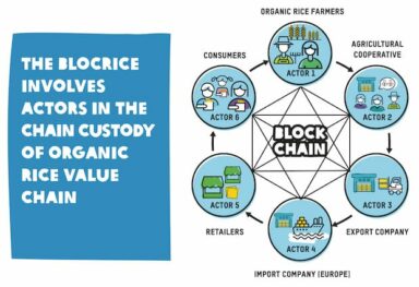 BlocRice Blockchain für Reisbauern