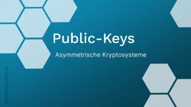 Public Key Kryptosysteme