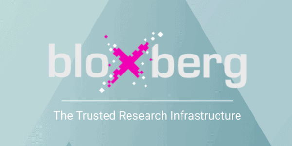 Bloxberg Logo