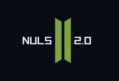 NULS 2.0 Blockchain