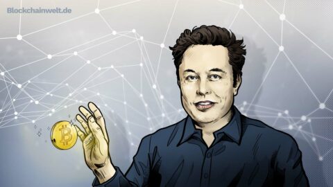 Elon Musk Bitcoin Illustration