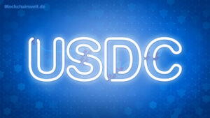 USDC Neonröhrenschrift