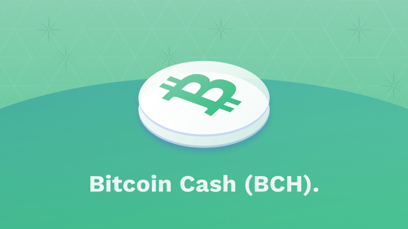 Was ist Bitcoin Cash (BCH)? Alle Details zur Bitcoin Hard Fork