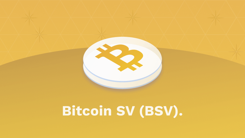 Was ist Bitcoin SV - Titelbild