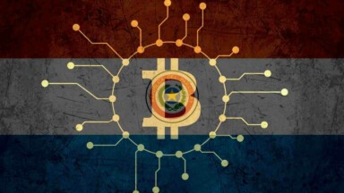 Bitcoin Logo Paraguay Flagge