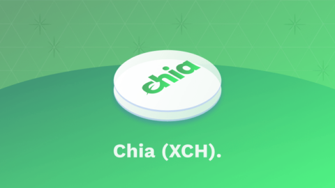 Was ist Chia - Titelbild