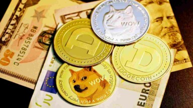 Dogecoin Münzen und Euro Geldscheine