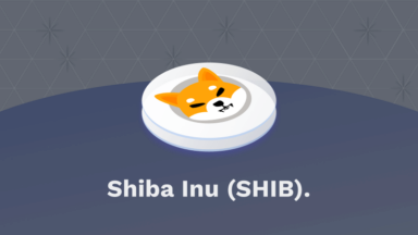 Was ist Shiba Inu Titelbild