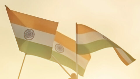 Flaggen Indien Schwenken In der Luft