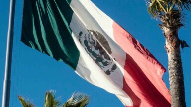 Flagge Mexiko im Wind Palme blauer Himmel
