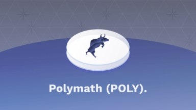Was ist Polymath - Titelbild