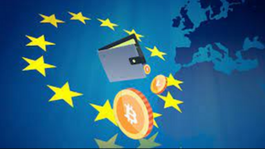 EU Flagge Bitcoin Wallet