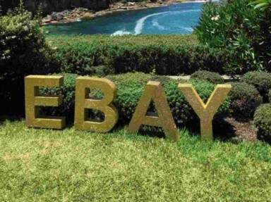 ebay logo im grünen