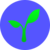 Radicle Logo 50x50 Format
