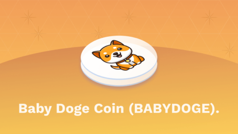 Was ist Baby Doge Coin featured image