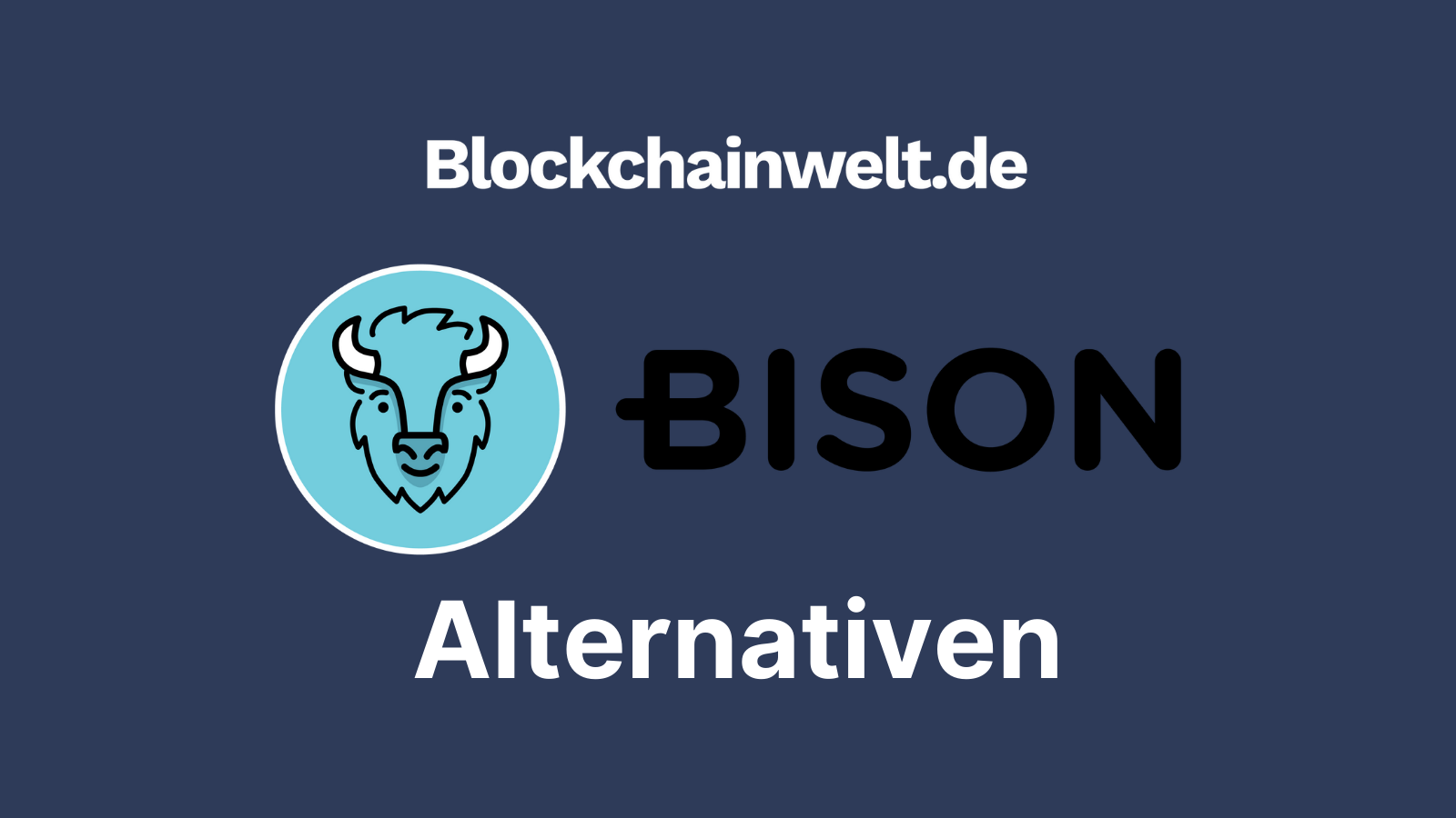 Top 5 BISON Alternativen 2026: Diese Anbieter sind besser!