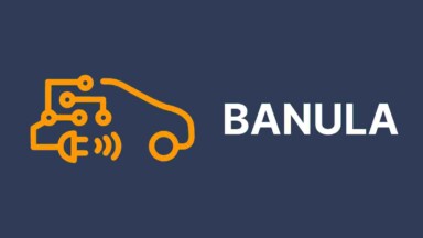 BANULA Logo