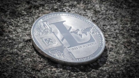 Litecoin Coin in Silber auf Stein liegend