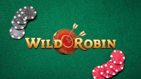 WildRobin Casino featured image