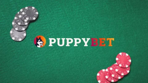 puppybetcasino_featured_image
