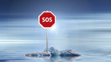 Plasma: Stablecoin-Markt durch neue Blockchain in Bedrängnis? Titelbild