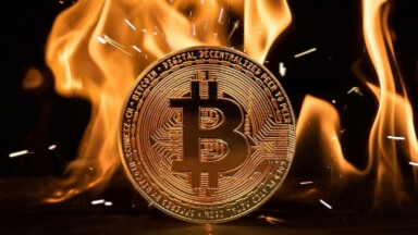 Quantencomputer bedrohen Bitcoin? Darum warnt Solana-Gründer Titelbild