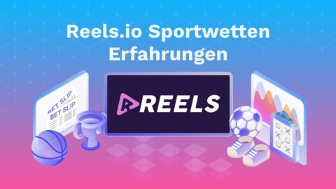 Reels.io Erfahrungen