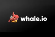 Whale Casino