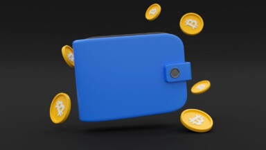 bitcoin münzen um krypto wallet
