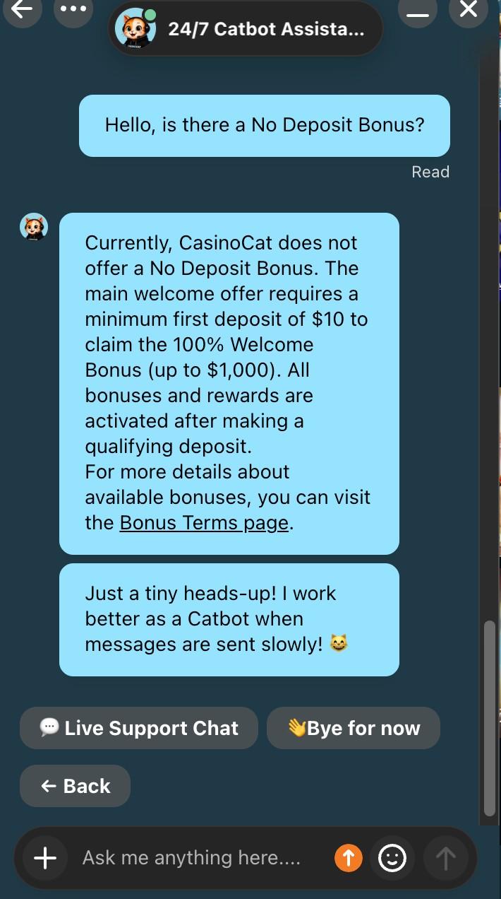 Casinocat L:ive Chat