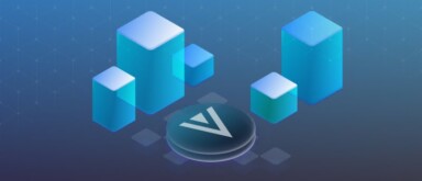 Verge Prognose